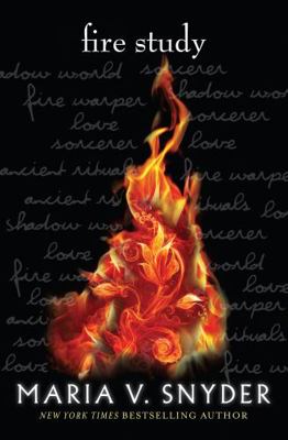 Fire Study 1741168333 Book Cover