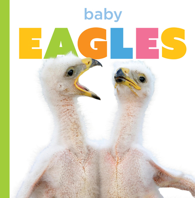 Baby Eagles B0GHM1GVYV Book Cover
