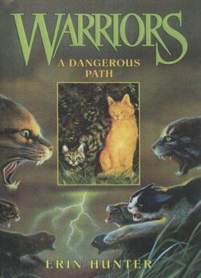 Dangerous Path 0606336117 Book Cover