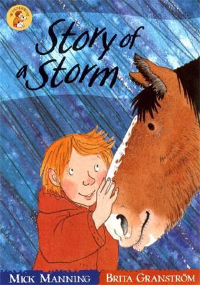 The Story of a Storm (Wonderwise Readers) 0749647833 Book Cover
