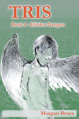 Tris 4: Hidden Dangers 1682357260 Book Cover