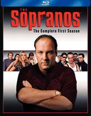 The Sopranos: The Complete First Season            Book Cover
