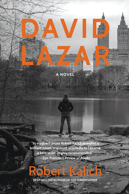 David Lazar: A Novel 1933480505 Book Cover