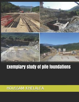 Exemplary study of pile foundations 1076393667 Book Cover