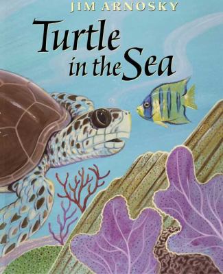 Turtle in the Sea 0399227571 Book Cover