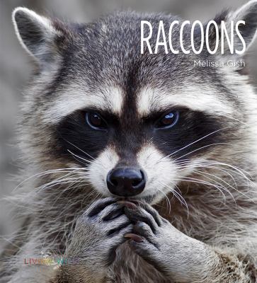 Raccoons 1628321717 Book Cover