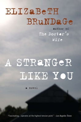 A Stranger Like You 0452297095 Book Cover