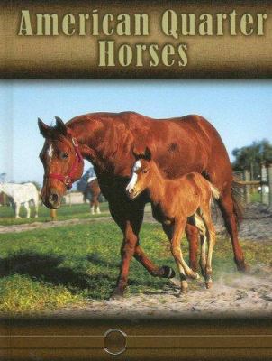American Quarter Horses 1600445799 Book Cover