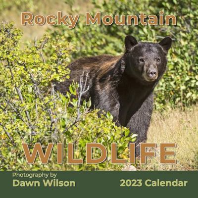 Paperback Rocky Mountain Wildlife Calendar 2023 Book