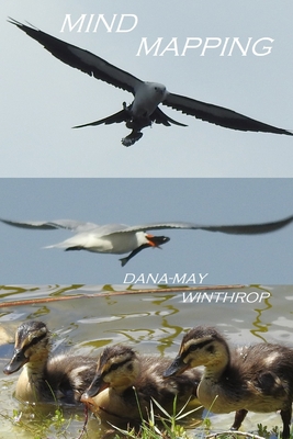 Mind Mapping B093MVVW9V Book Cover