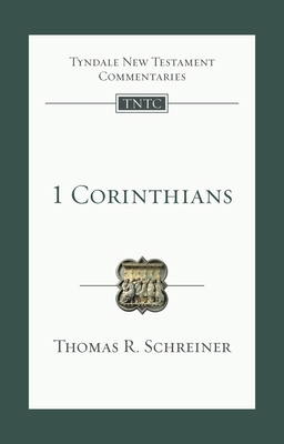 1 Corinthians: An Introduction and Survey 1844740331 Book Cover