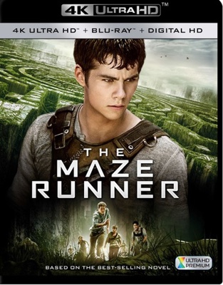 The Maze Runner            Book Cover