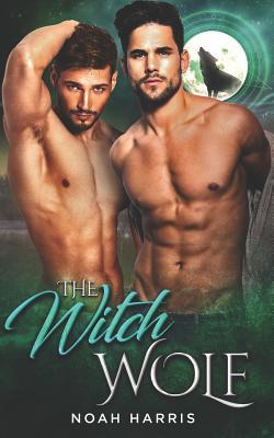 The Witch Wolf 1090484623 Book Cover
