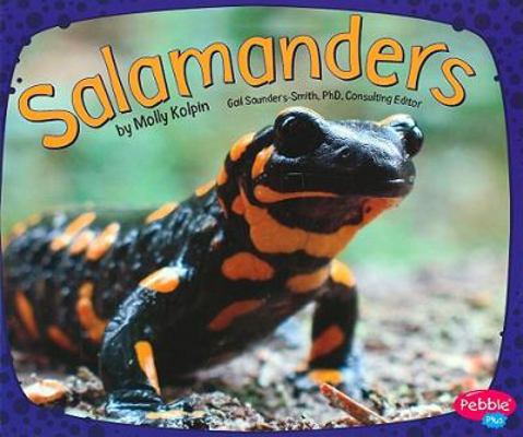 Salamanders (Amphibians) (Pebble Plus: Amphibians) 1429648511 Book Cover
