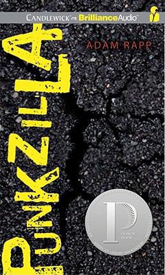 Punkzilla 1441892958 Book Cover