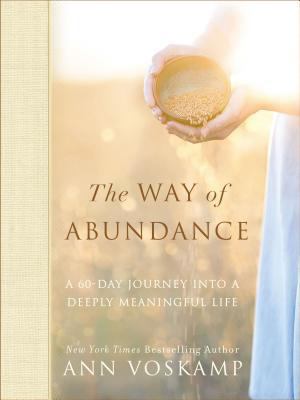 The Way of Abundance: A 60-Day Journey Into a D... 031035031X Book Cover