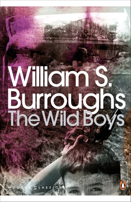 The Wild Boys: A Book of the Dead 0141189835 Book Cover