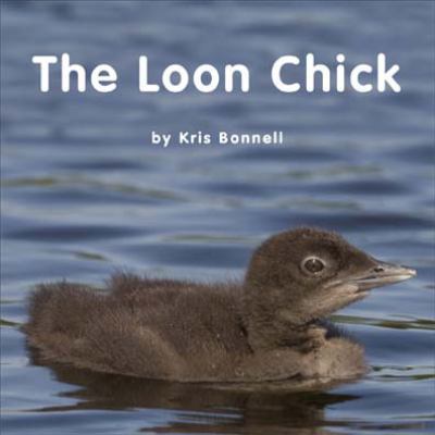 The Loon Chick