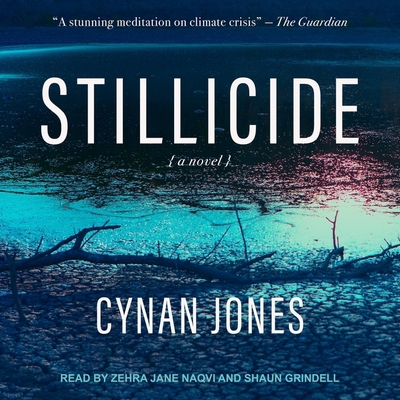 Stillicide B09NF78GWJ Book Cover