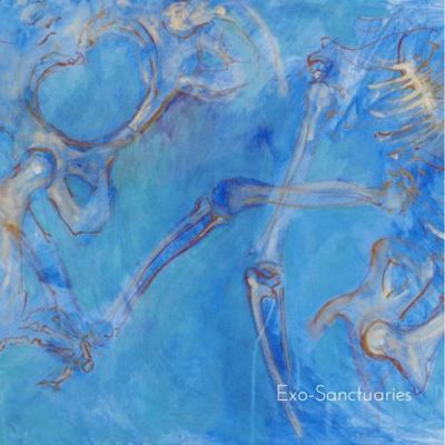 Exo-Sanctuaries