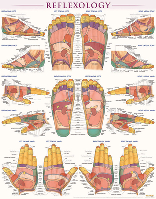 Reflexology Poster (22 X 28 Inches) - Laminated... 1423223071 Book Cover