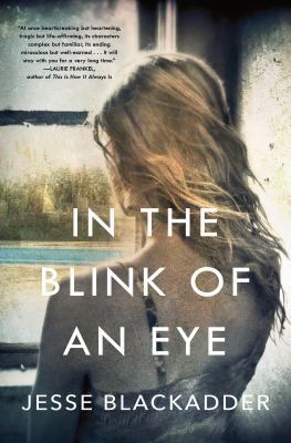 In the Blink of an Eye 1250199956 Book Cover
