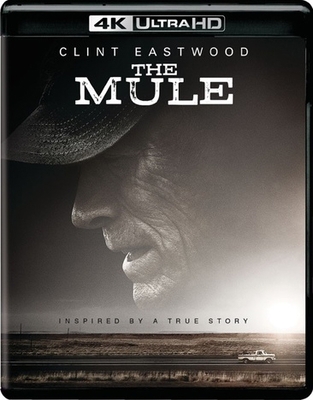 The Mule            Book Cover