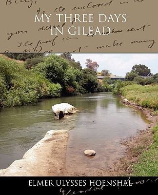 My Three Days in Gilead 1438573758 Book Cover