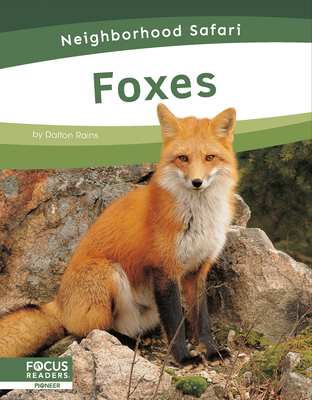 Foxes B0CSHNYYPL Book Cover