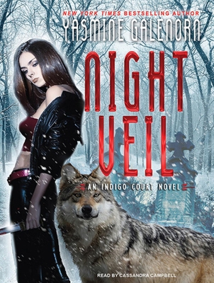 Night Veil 1452601372 Book Cover