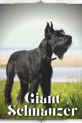 Giant Schnauzer: Dog breed overview and guide B0C9SQHH62 Book Cover