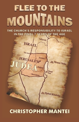 Flee To The Mountains: The Church's Responsibil... 1086433823 Book Cover