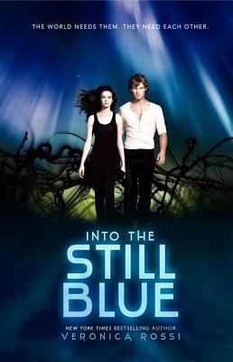 Into the Still Blue 0062072099 Book Cover
