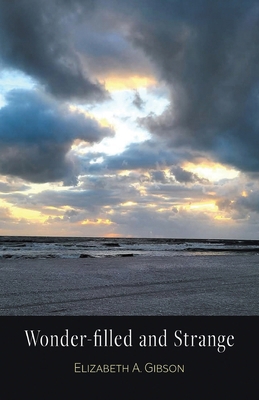 Wonder-filled and Strange B0FX8CZC34 Book Cover