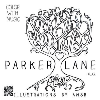 Parker Lane: P.L.A.Y. 1524627348 Book Cover