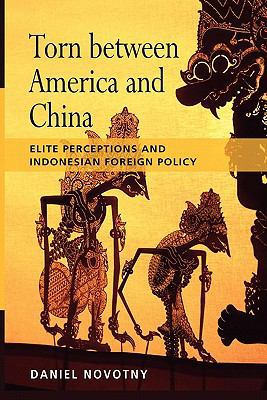 Torn Between America and China: Elite Perceptio... 9814279595 Book Cover