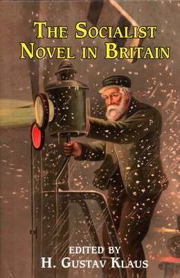 The Socialist Novel in Britain 1911454951 Book Cover