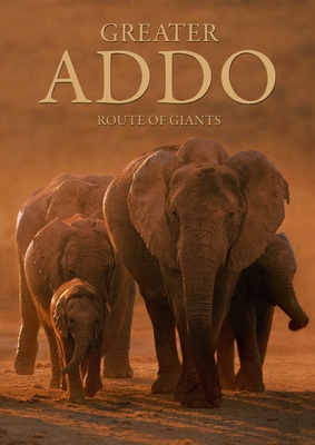 Greater Addo 0620299355 Book Cover