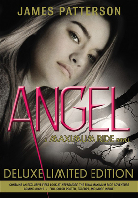 Angel 0606234527 Book Cover