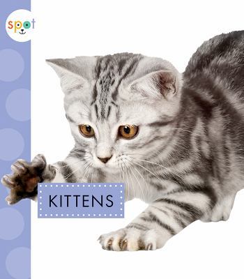 Kittens 168152371X Book Cover