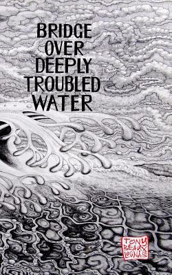 Bridge Over Deeply Troubled Waters 069266825X Book Cover