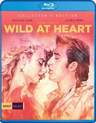 Wild At Heart            Book Cover