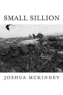 Small Sillion 1643170465 Book Cover