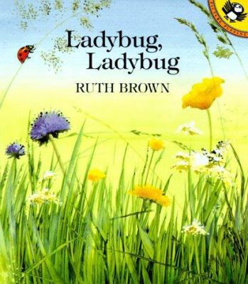 Ladybug, Ladybug 0140545433 Book Cover