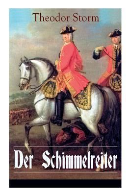 Der Schimmelreiter: Storms Meisternovelle: Ein ... [German] 8026862872 Book Cover