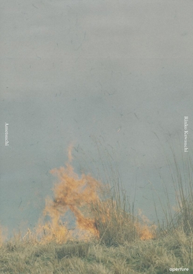 Rinko Kawauchi: Ametsuchi 159711216X Book Cover