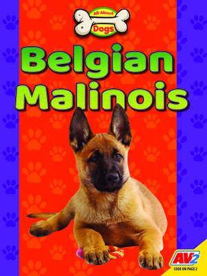 Belgian Malinois 1791148085 Book Cover