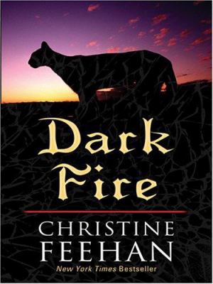 Dark Fire [Large Print] 0786272317 Book Cover