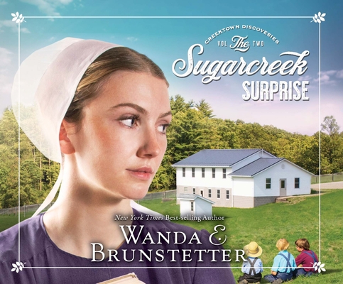 Sugarcreek Surprise: Volume 2 1640917586 Book Cover