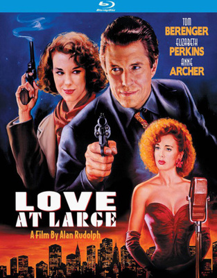 Love at Large            Book Cover